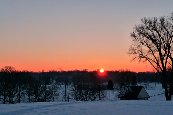 Rose Sunrise- Hiawatha Golf Course