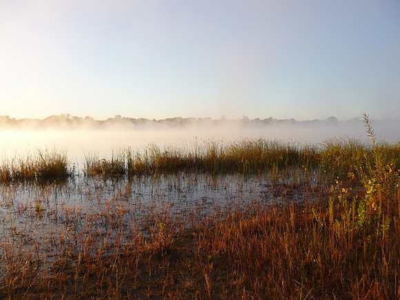 Fog Burn off on Lake Marsh, Lake Nokomis, Minneapolis