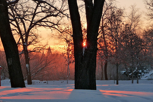 Minnehaha Falls Park-Sunrise Shadows