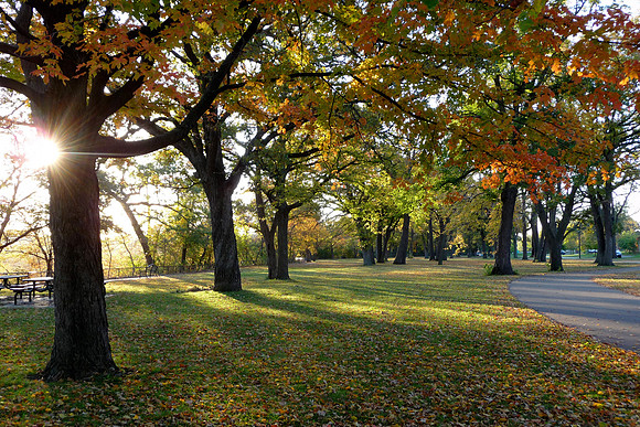 Sun Peak on Autumn Morning-Minnehaha Falls Park, Minneapolis, MN
