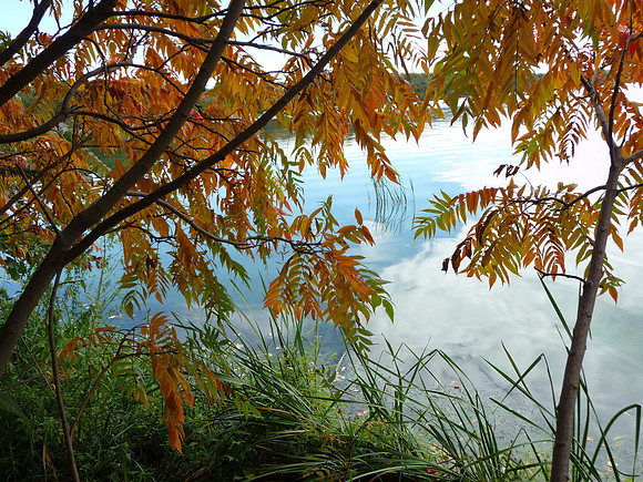 Orange Sumac, Lake and Clouds