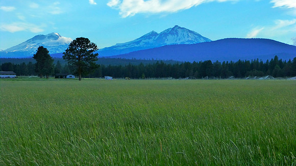 Closer up-from Sisters, Oregon