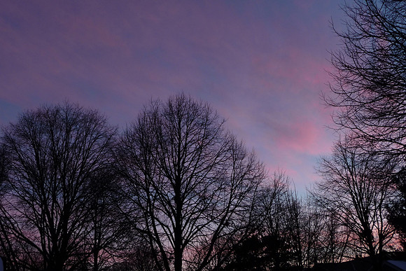 Late Autumn Sunset