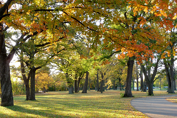 Autumn Morning-Minnehaha Falls Park, Minneapolis, MN
