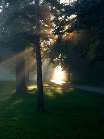 Light Spill-Lake Nokomis