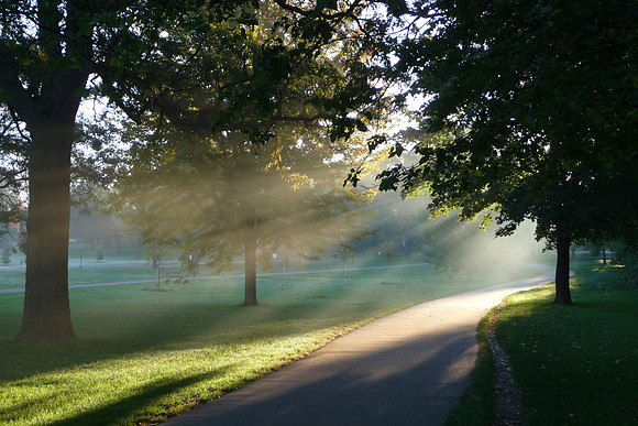 Light for the Path-Lake Nokomis, Minneapolis, MN-#2