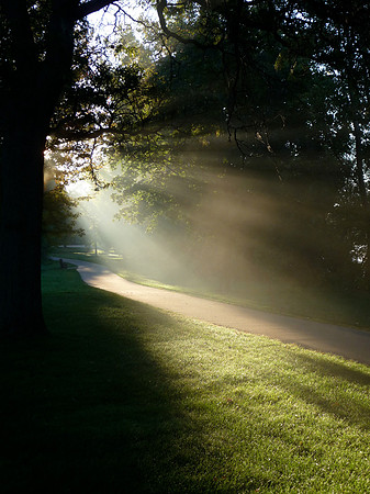 Light For The Winding Path-Vertical